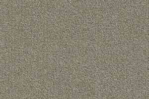 Ковровая плитка Modulyss Millennium Nxtgen Millennium Nxtgen 061 фото  | FLOORDEALER